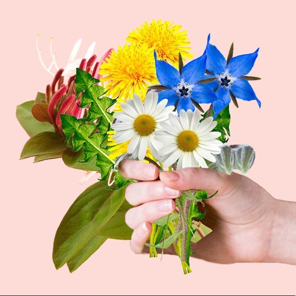 Meet your Posher, Mae - Picture 1 of 1